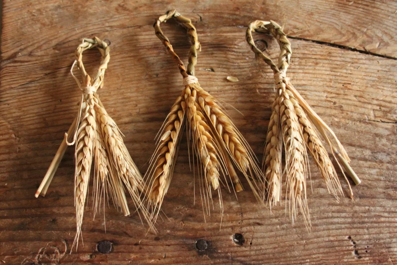 File:IMG 2594-scaled-1.webp