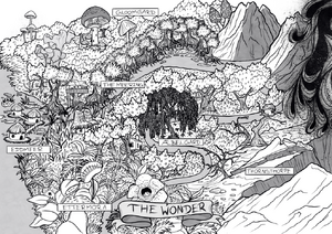 The Wonder