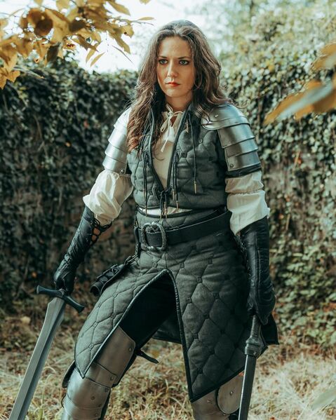 File:Kovira Gambeson Jacke Rock Adam Schultern Klein Gustav Beinpanzer Kara Bluse Gillian Handschuhe 1920x1920.jpeg